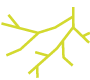 Wurzeln-links