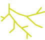 Wurzeln-rechts